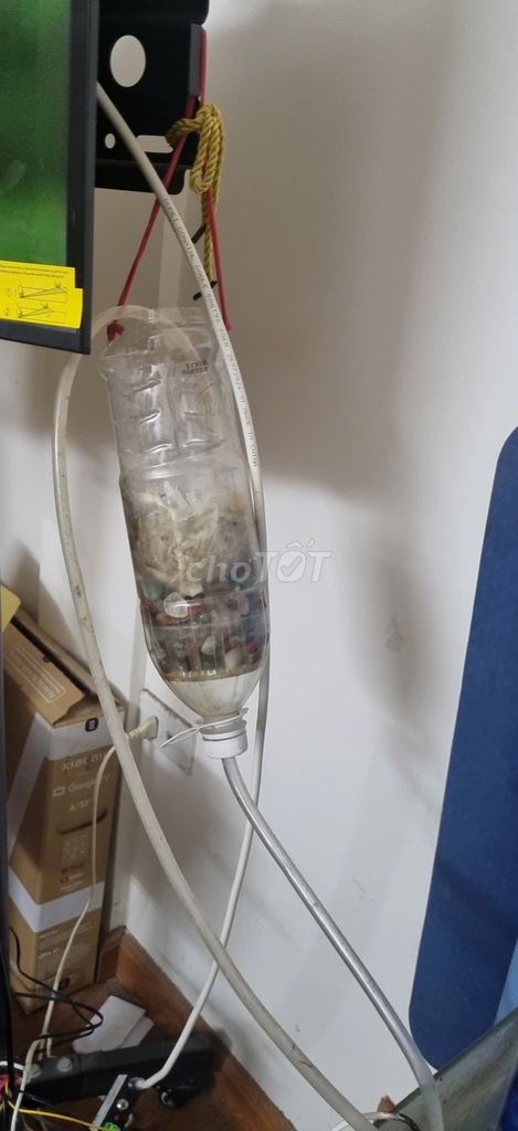 Thanh lý Bể cá mini có máy bơm nước. Mua bán Phụ kiện, Thức ăn, Dịch vụ tại Quận Đống Đa Hà Nội được đăng bởi YAK Land hình 1