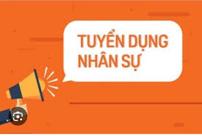 Công ty TNHH Xây Dựng Hoàng Kim
