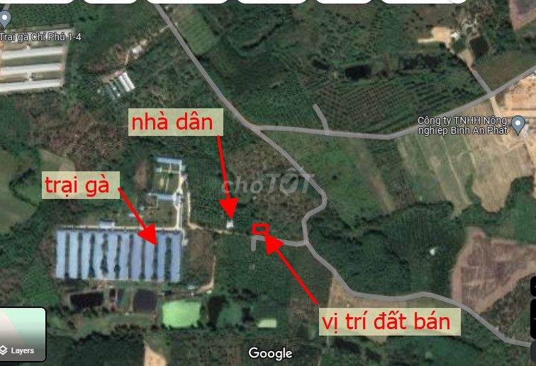 Bán đất vườn Xã Phú Ngọc Huyện Định Quán Tỉnh Đồng Nai
