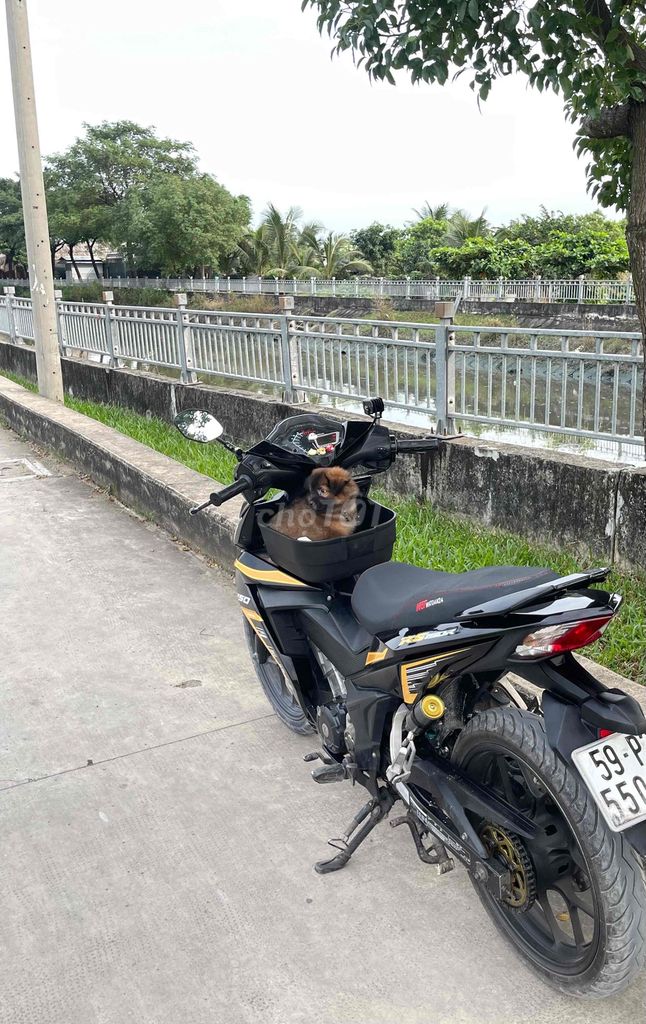 Honda Winner V1 Đen vàng. Mua bán Xe máy tại Quận 12 Tp Hồ Chí Minh được đăng bởi Hậu Nguyễn hình 2