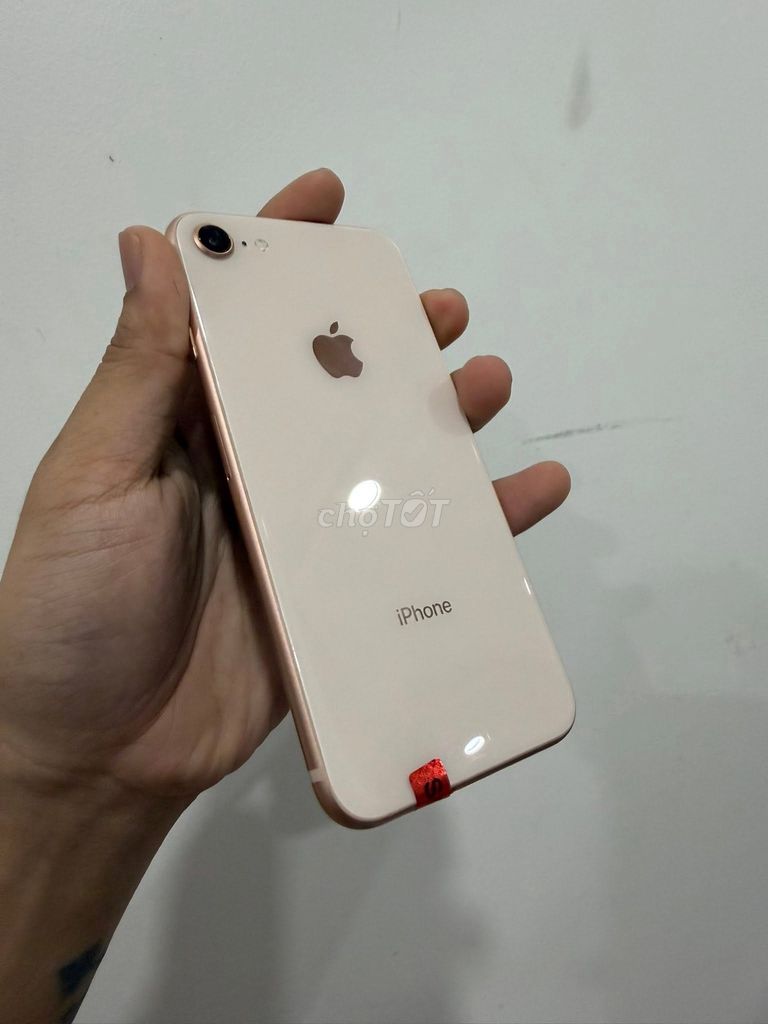 Apple iPhone 8 32GB Vàng hồng Like New. Mua bán Điện thoại tại Thành phố Nha Trang Khánh Hòa được đăng bởi Trung Ka Quét Lá Đa hình 1
