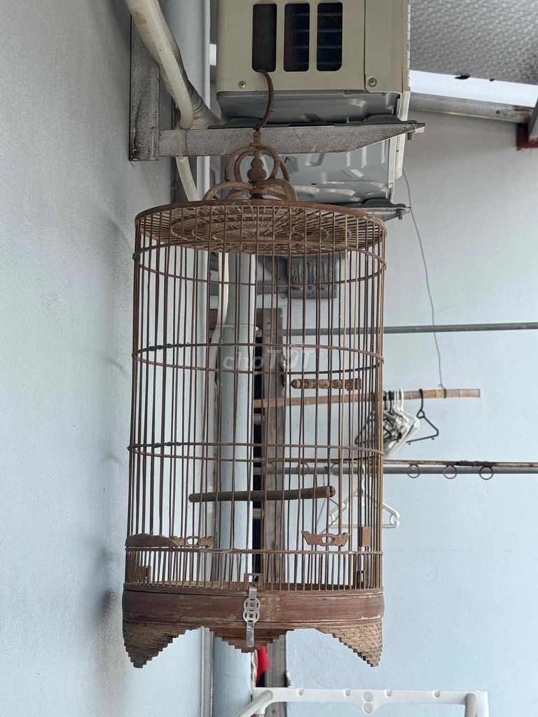 Lồng cu gáy, choè than. Mua bán Phụ kiện, Thức ăn, Dịch vụ tại Huyện Thường Tín Hà Nội được đăng bởi Dang quoc cuong hình 1