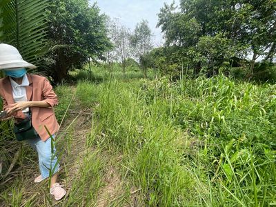 bán đất Nông Nghiệp sào mẫu - xã tam an- H long thành- T ĐNai. Mua bán đất tại Huyện Long Thành Đồng Nai được đăng bởi Khang Phát
