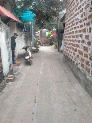 Mảnh đất 322m2 siêu đẹp tại Đoài Giáp, Đường Lâm, Sơn Tây, Hà Nội.. Mua bán đất tại Thị xã Sơn Tây Hà Nội được đăng bởi Như Tâm
