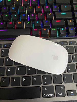 Chuột máy tính Magic Mouse 2 - Apple