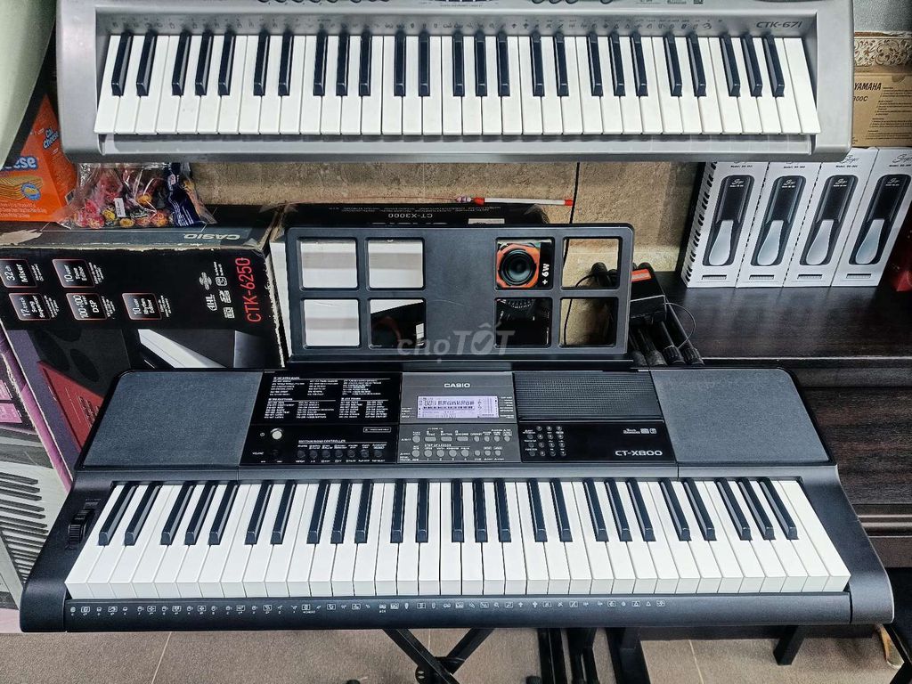 Đàn organ casio xt-x800