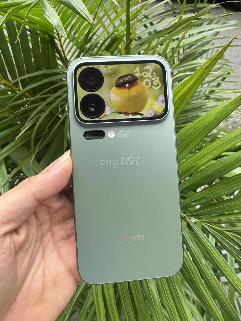 Xiaomi 17 Pro 12/256GB FULLBOX imei CÓ COD - GÓP. Mua bán Điện thoại tại Quận Hoàng Mai Hà Nội được đăng bởi Gia Vinh hình 1