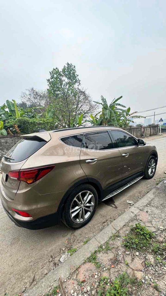 Ảnh số 5
