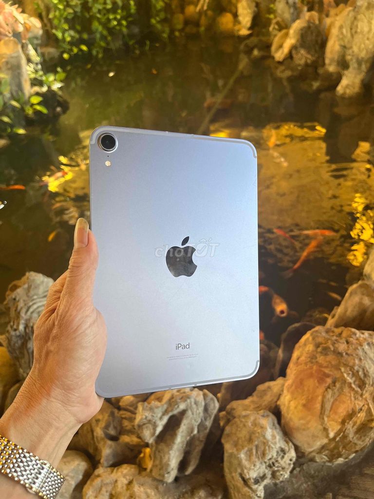 Apple iPad mini 6 64GB Xám. Mua bán Máy tính bảng tại Quận Bình Tân Tp Hồ Chí Minh được đăng bởi nguyen van vu hình 1
