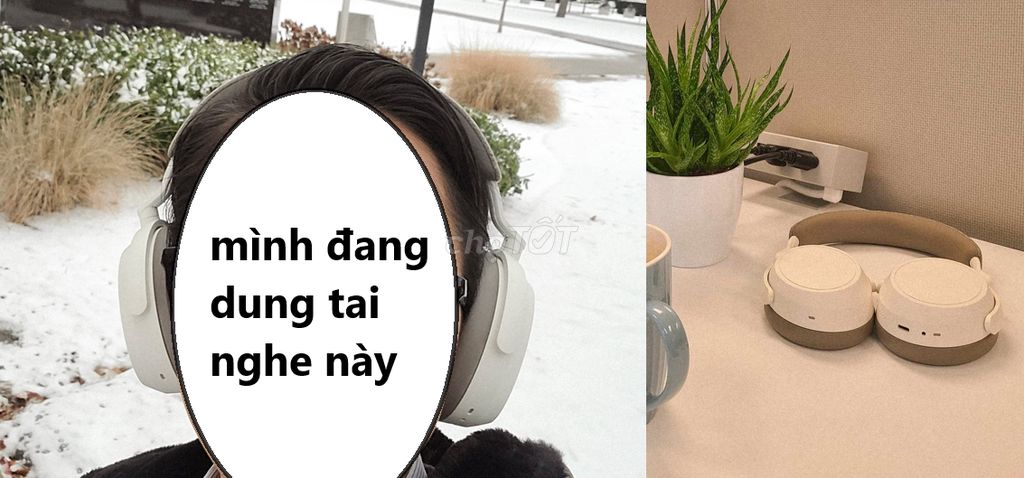 Tai nghe Jabra Evolve 40 (bản có bộ điều khiển)