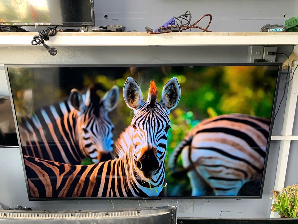 Sony 65inch 4K Google TV. Mua bán Tivi, Âm thanh tại Quận Ninh Kiều Cần Thơ được đăng bởi Sửa Tivi Cần Thơ hình 1