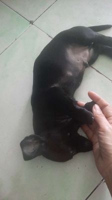bé lap xưởng nhà đẻ 
