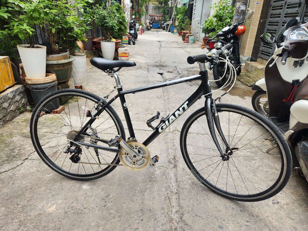 xe touring 700c GIANT R3 thương hiệu  lớn
Size S