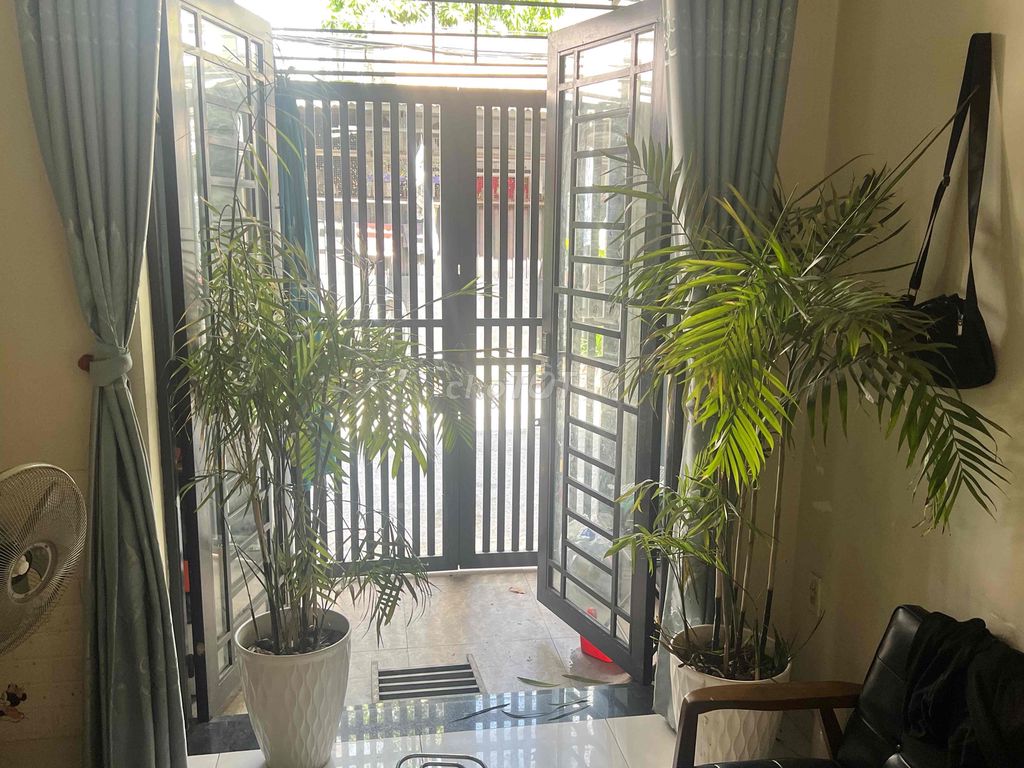 Cây cảnh Cau Hawai 1m7. Mua bán Cây cảnh, đồ trang trí tại Quận Tân Phú Tp Hồ Chí Minh được đăng bởi Anh Hoang hình 1
