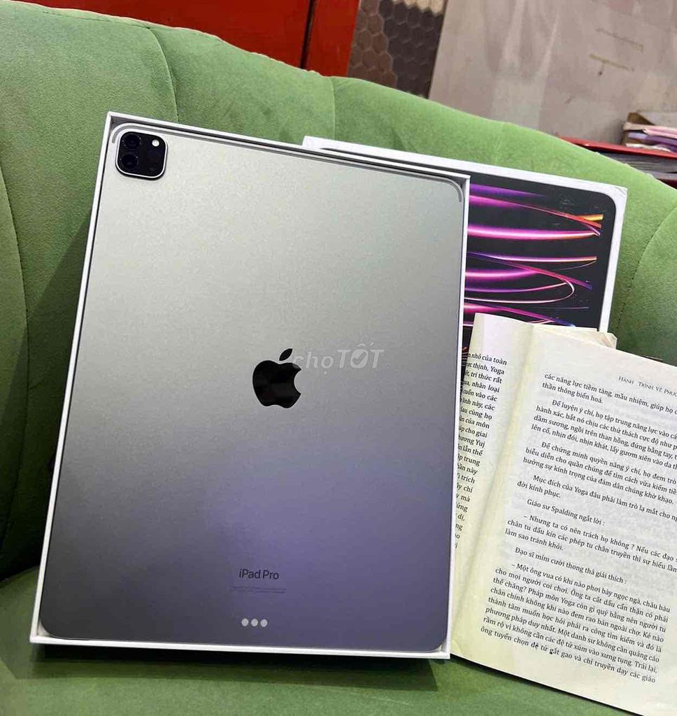 iPad Pro m1 gray 11 inch 512g 5g pin 100