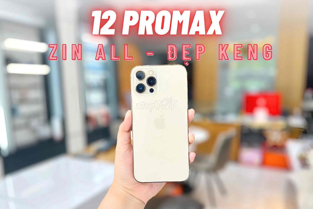 12 PROMAX - ZIN ỐC ÁP - Hàng tuyển đẹp xuất sắc