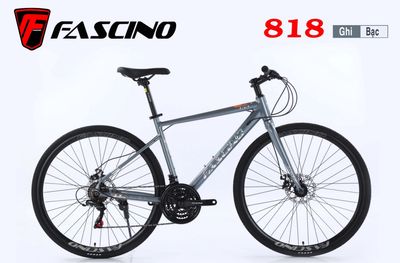 Cần bán xe đạp Fascino ít chạy