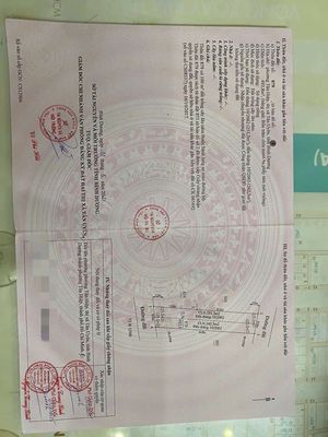 Nhà vườn nghỉ dưỡng 