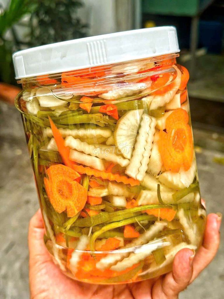 Dưa chua Rau muống củ hủ dừa 1.5kg Nhà làm. Mua bán Đồ ăn, thực phẩm và các loại khác tại Quận Phú Nhuận Tp Hồ Chí Minh được đăng bởi Hà Nhi Cao hình 1
