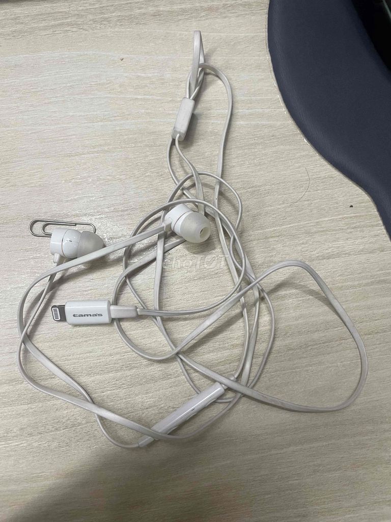 Tai nghe Camas Lightning Trắng. Mua bán Tivi, Âm thanh tại Thành phố Thủ Đức Tp Hồ Chí Minh được đăng bởi nguyen nhat duy hình 1