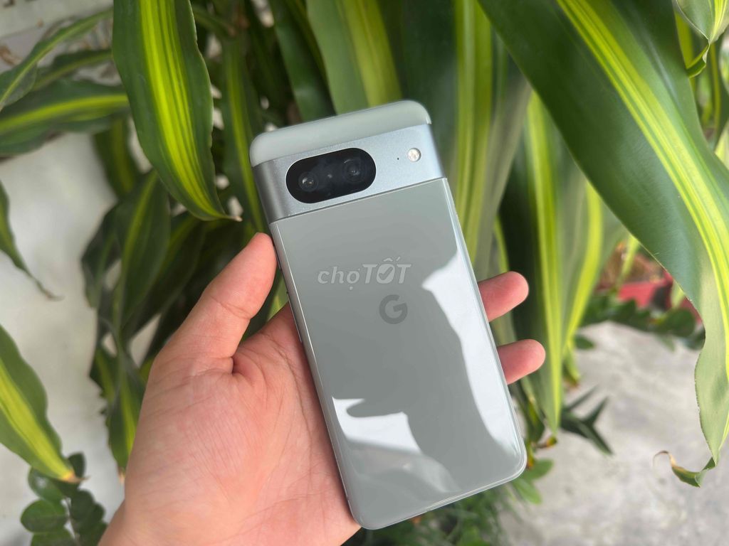 Google Pixel 8 8Gam 128GB Xám. Mua bán Điện thoại tại Quận Ninh Kiều Cần Thơ được đăng bởi ĐIỆN THOẠI GIÁ TỐT UY TÍN  hình 1