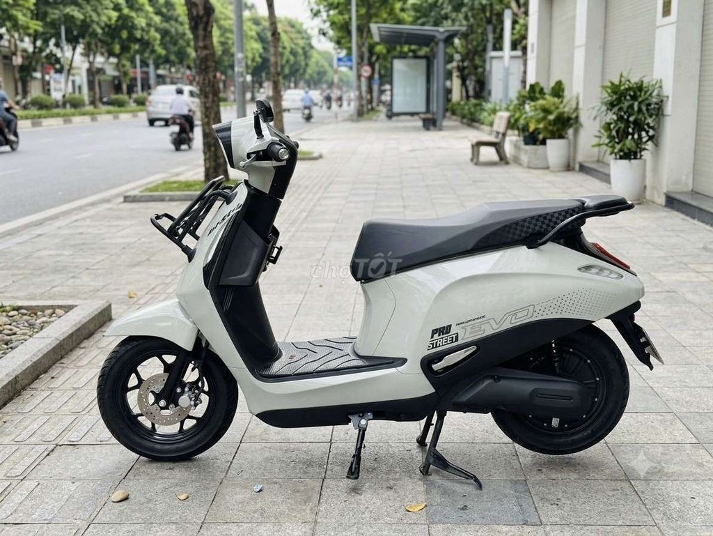 Vinfast Evo Grand (2 pin)