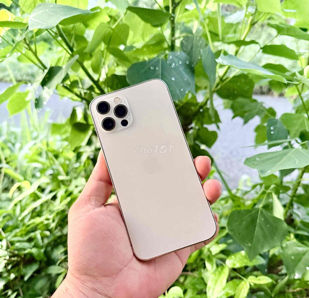 Apple iPhone 12 Pro 128GB Vàng Đã dùng. Mua bán Điện thoại tại Thành phố Cà Mau Cà Mau được đăng bởi Nguyễn An hình 1