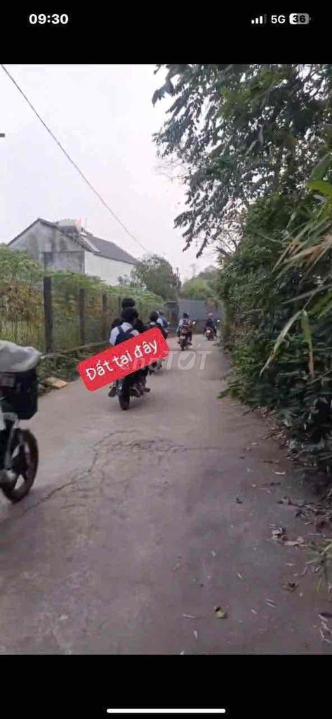 bân dất