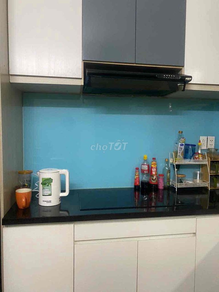 Cho thuê căn 2PN Full nội thất ở Topaz city P4.Q8