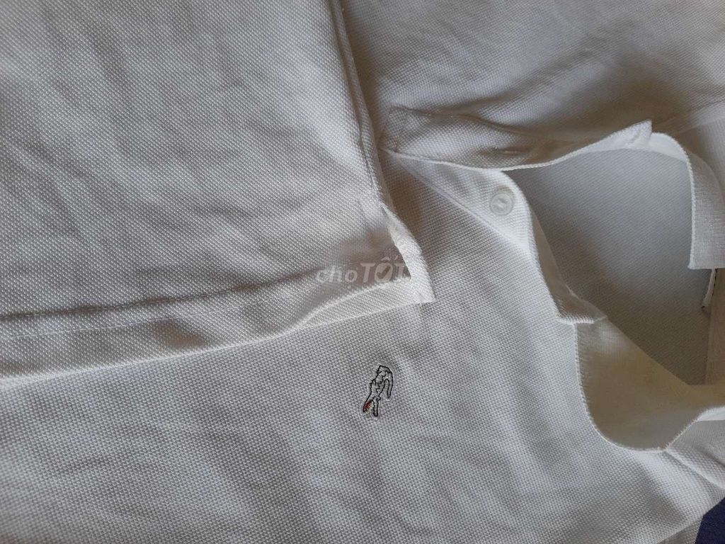 Áo thun trắng Lacoste. Mua bán Quần áo tại Huyện Củ Chi Tp Hồ Chí Minh được đăng bởi Trao Tặng nhu yếu phẩm 0 đồng chia sẻ yêu thương  hình 1