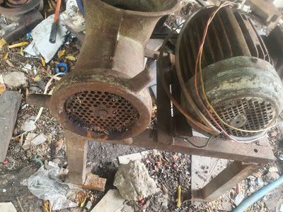 Máy xay thịt. Mua bán Đồ chuyên dụng, Giống nuôi trồng tại Quận 12 Tp Hồ Chí Minh được đăng bởi Nguyễn Hơn