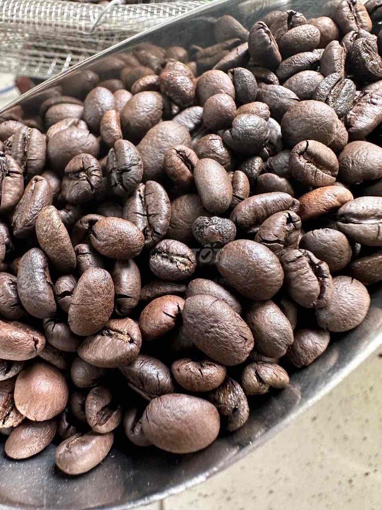 Cà phê Robusta Đăk Lăk. Mua bán Đồ ăn, thực phẩm và các loại khác tại Quận Tân Bình Tp Hồ Chí Minh được đăng bởi Lam Thi Suong hình 1
