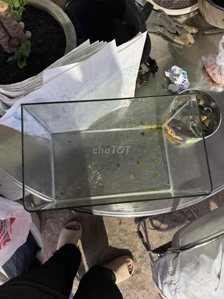 Bể cá Kính 35x20x23 cm. Mua bán Phụ kiện, Thức ăn, Dịch vụ tại Quận Gò Vấp Tp Hồ Chí Minh được đăng bởi NGUYEN VAN PHONG hình 1