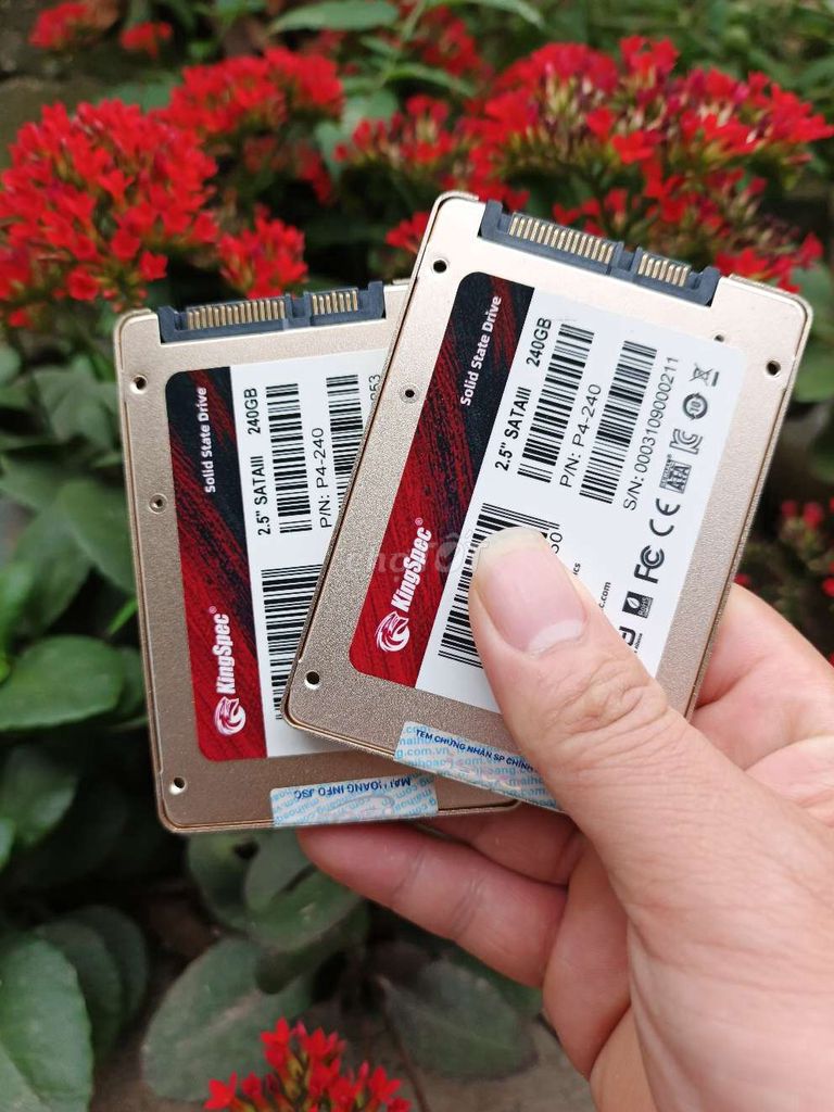 Ổ cứng SSD KingSpec 240GB Đã sử dụng. Mua bán Linh kiện (RAM, Card...) tại Huyện Phú Lương Thái Nguyên được đăng bởi Hoàng Vũ Điện hình 1
