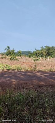 bán đất cách dt 312 3km. Mua bán đất tại Huyện Bù Đăng Bình Phước được đăng bởi Kiên Trần
