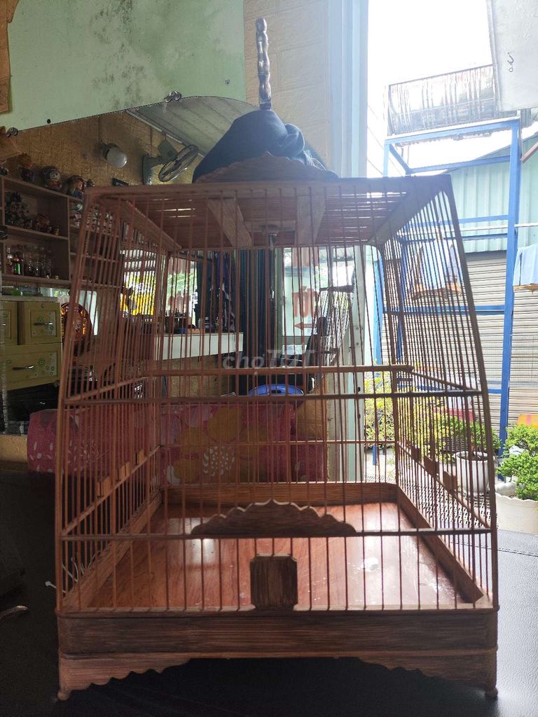 Lồng chim Tre già Thái cao. Mua bán Phụ kiện, Thức ăn, Dịch vụ tại Huyện Bình Chánh Tp Hồ Chí Minh được đăng bởi Hoài Sơn hình 1