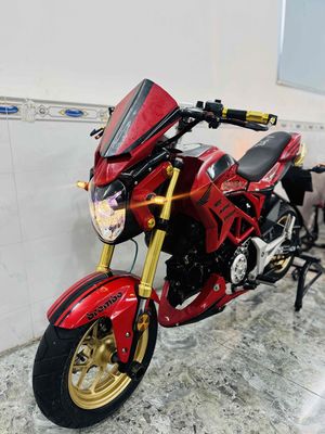 Honda MSX 125 Đỏ 5700km. Mua bán Xe máy tại Thành phố Thủ Đức Tp Hồ Chí Minh được đăng bởi vanbinh