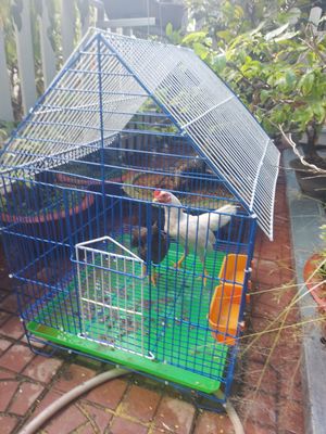 Lồng nuôi bồ câu. Mua bán Phụ kiện, Thức ăn, Dịch vụ tại Quận Cái Răng Cần Thơ được đăng bởi luong duy