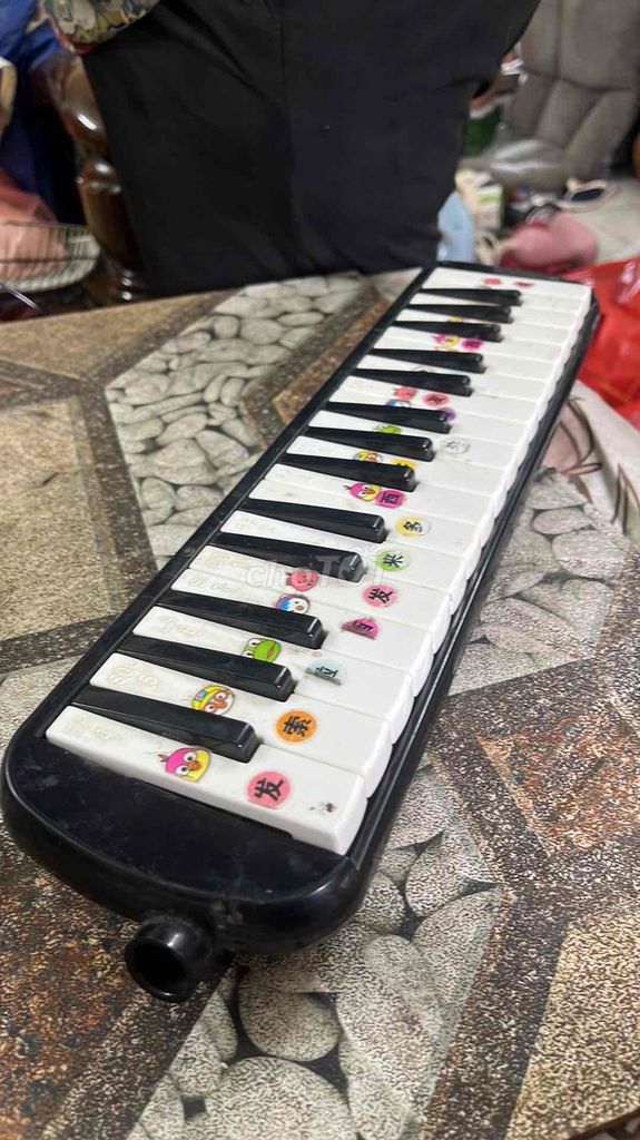 Đàn Melodica Nhựa Đen, Trắng Cho Người Mới Bắt Đầu. Mua bán Nhạc cụ tại Quận Hoàng Mai Hà Nội được đăng bởi Kairiyeudau hình 1