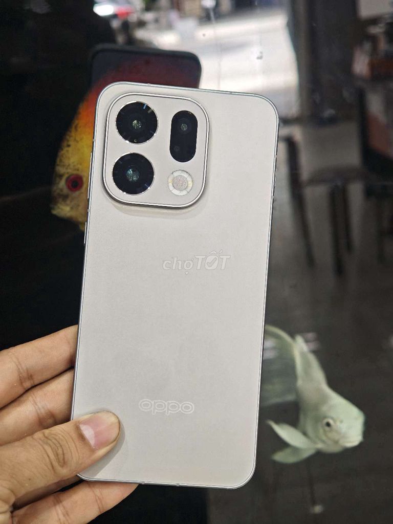 Oppo Find X9 xám titan 16/256Gb bán hoặc đổi. Mua bán Điện thoại tại Quận Hải Châu Đà Nẵng được đăng bởi Nguyễn Hưng hình 1