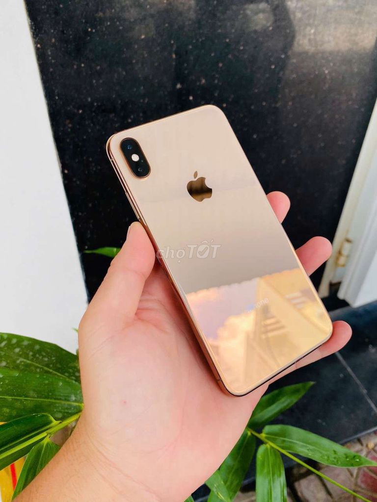 iPhone XS Max 256G QT Pin 100% ( Gold ). Mua bán Điện thoại tại Quận Ninh Kiều Cần Thơ được đăng bởi Nhựt Mobile hình 1