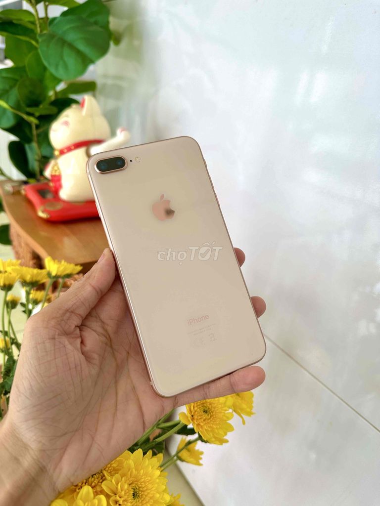 Iphone 8plus 64G màn zin Full vân tay. Mua bán Điện thoại tại Thành phố Long Xuyên An Giang được đăng bởi phong LX  hình 1