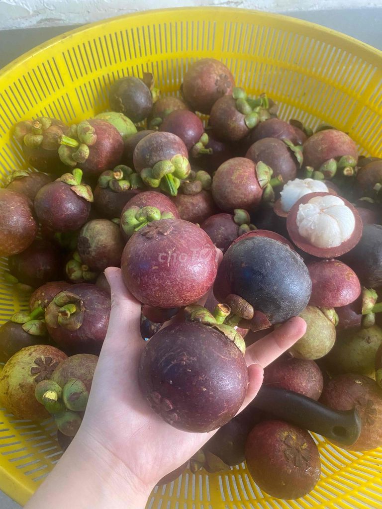 Măng cụt. Mua bán Đồ ăn, thực phẩm và các loại khác tại Huyện Nhà Bè Tp Hồ Chí Minh được đăng bởi T Linh  hình 1