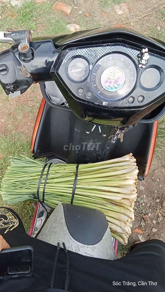 Gia vị Sả tươi. Mua bán Đồ ăn, thực phẩm và các loại khác tại Huyện Châu Thành Sóc Trăng được đăng bởi Tam Ly tri hình 1