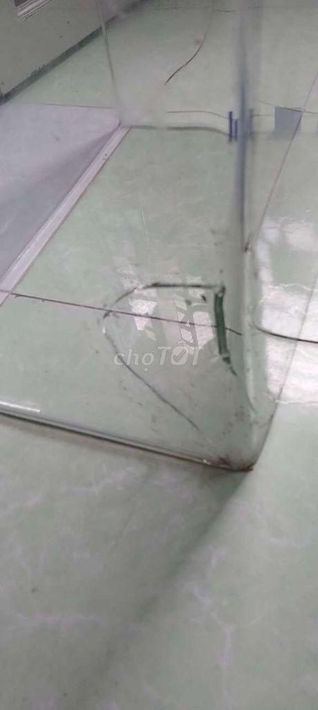 Bể cá kính 50cm. Mua bán Phụ kiện, Thức ăn, Dịch vụ tại Quận 8 Tp Hồ Chí Minh được đăng bởi MR T hình 1