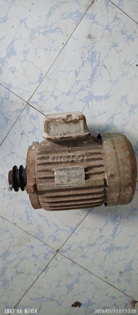 Động cơ điện 3 HP 2850 RPM. Mua bán Đồ chuyên dụng, Giống nuôi trồng tại Thành phố Bạc Liêu Bạc Liêu được đăng bởi Nhiên Nguyễn hình 1