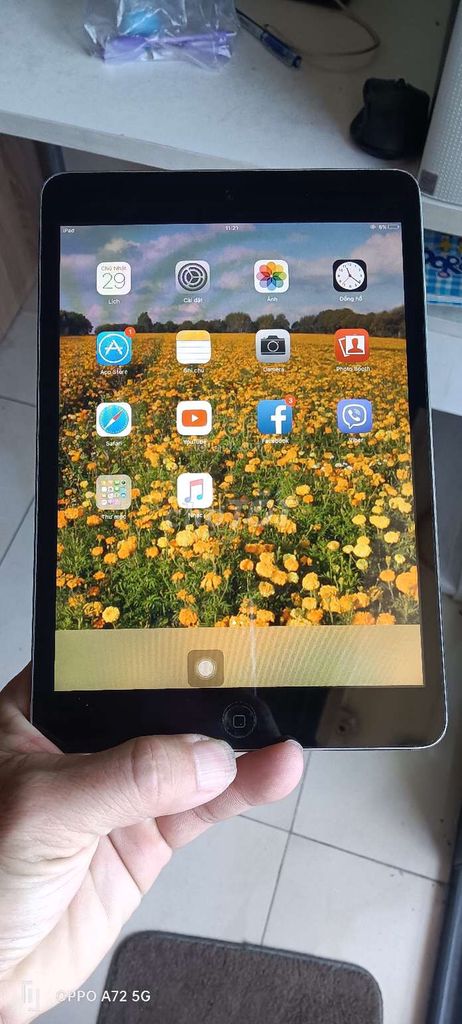 Ipad mini 1