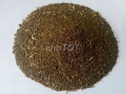 Dubai canola (BÃ CẢI NGỌT)