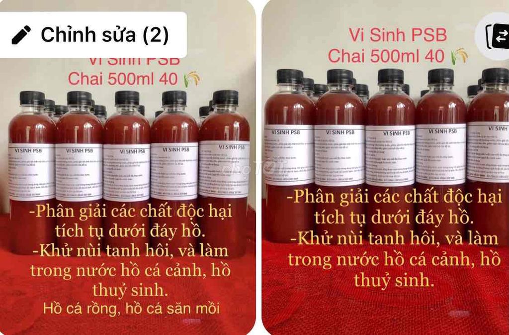 vi sinh làm trong nước hồ cá, khử mùi tanh