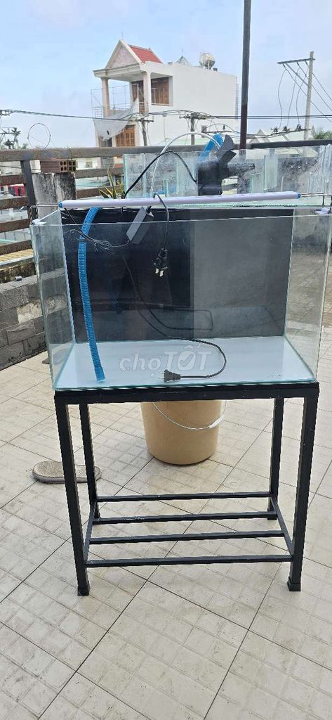 Hồ đúc 60cm